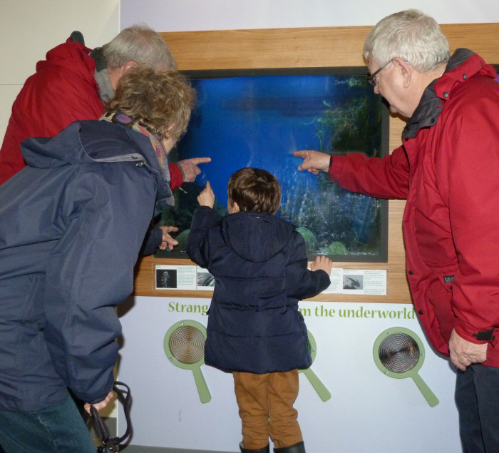People looking and pointing at a fish tank